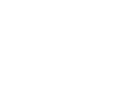 Logo blanc Nolinski